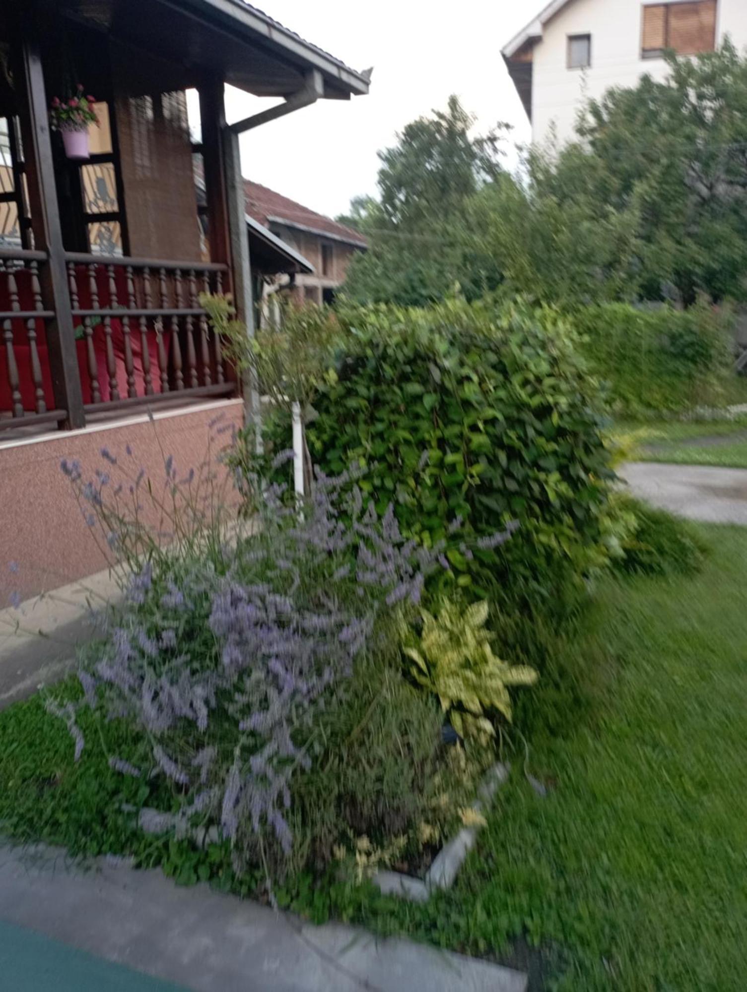 Kuca Za Odmor Zicanka Kraljevo Eksteriør billede