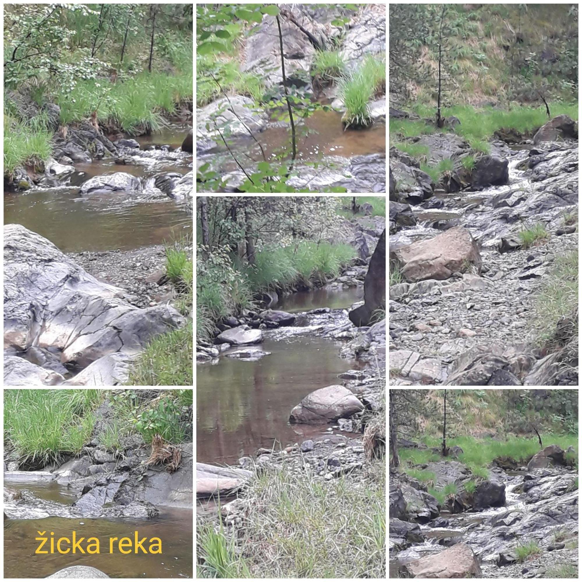 Kuca Za Odmor Zicanka Kraljevo Eksteriør billede